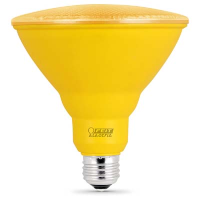 Outdoor Flood Colored Bulbs